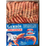 阿根廷L2红虾