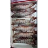 各种规格红爪大虾