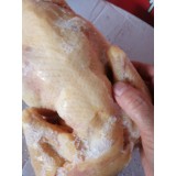 三黄鸡  老母鸡