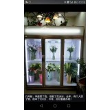 风冷鲜花柜