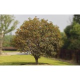 大自然桂花种植15964807631