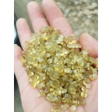 老陈塑业 0539-3125766