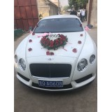 婚车队15269980312