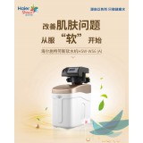 海尔施特劳斯 软水机 HSW-WS6(A)
