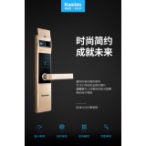 凯迪仕电子锁5005