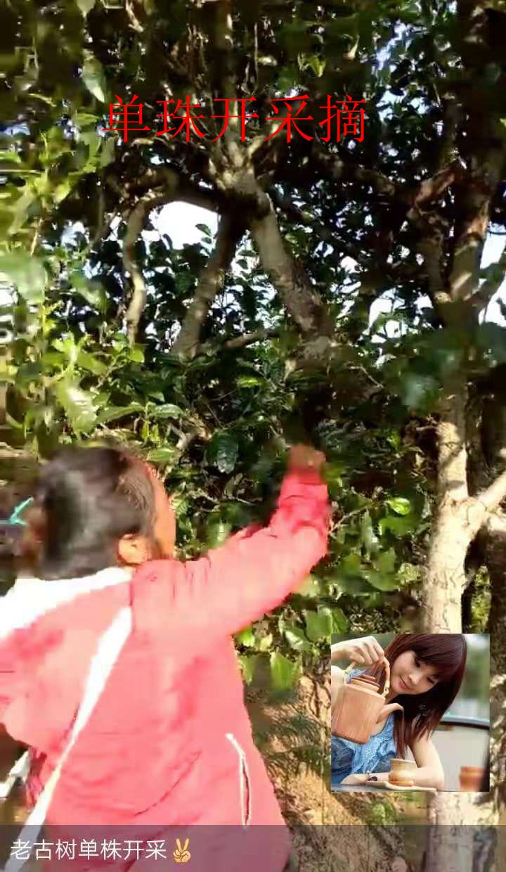 微信图片_20181014190201_副本