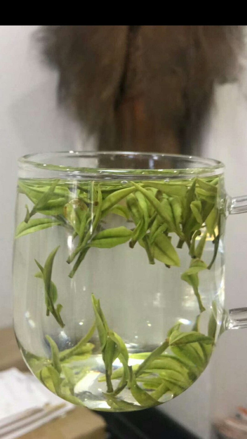 微信图片_20181018204801