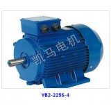 YB2防爆三相异步电动机