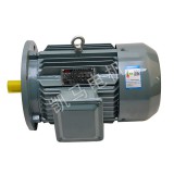 YE2系列三相异步电动机