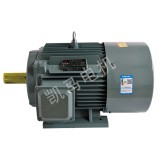 YE2系列三相异步电动机