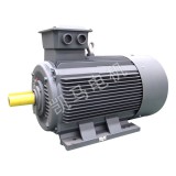 YE3系列三相异步电动机