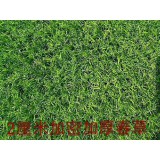 纱网、蓬布系列