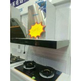 美国史密斯T01款