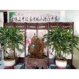 宏伟颈肩腰腿疼专科