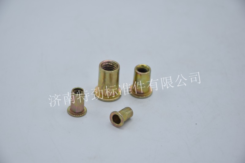 圆形滚花拉铆螺母_副本