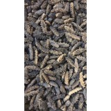 顶级纯淡干海参