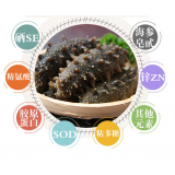 原生态野生海参