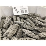 底播野生老淡干海参