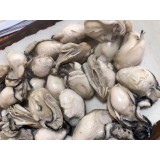 速冻牡蛎肉