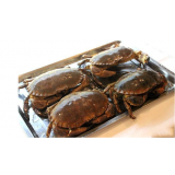 面包蟹