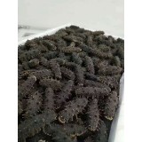 长岛野生纯淡干海参