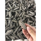 大连野生老淡干