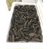 大连淡干海参涨发率高