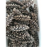 销售电话：13697628266