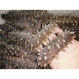 销售电话：13697628266