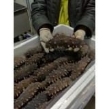 销售电话：13697628266