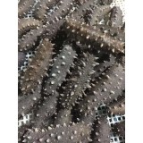 销售电话：13697628266