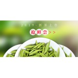 安吉（福鼎）白茶