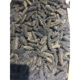 辽参精品速发海参A