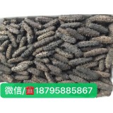 福建纯淡干精品BB