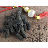 福建纯淡干精品CC