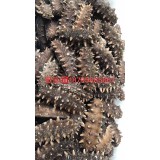 BB-大连Q弹即食海参