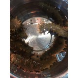 CC-大连Q弹即食海参