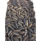 大连精品高刺淡干11