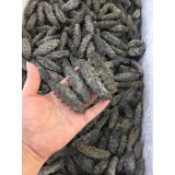 南方传统老淡干66