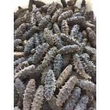 大连野生纯淡干海参