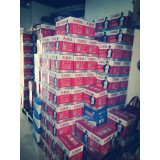 天能汽车起动系列