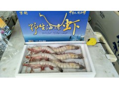 野生海捕虾