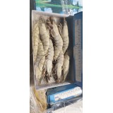 越南草虾