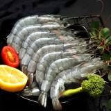 厄瓜多尔海白虾