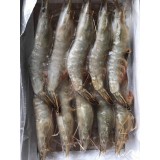 青岛海捕虾（10头）