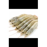 厄瓜多尔海白虾