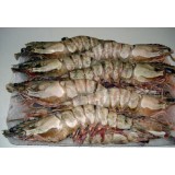 越南虎虾