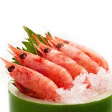 北极甜虾