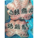 整只八爪鱼
