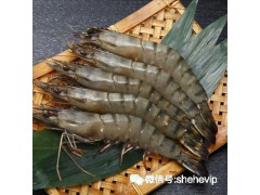 野生虎虾